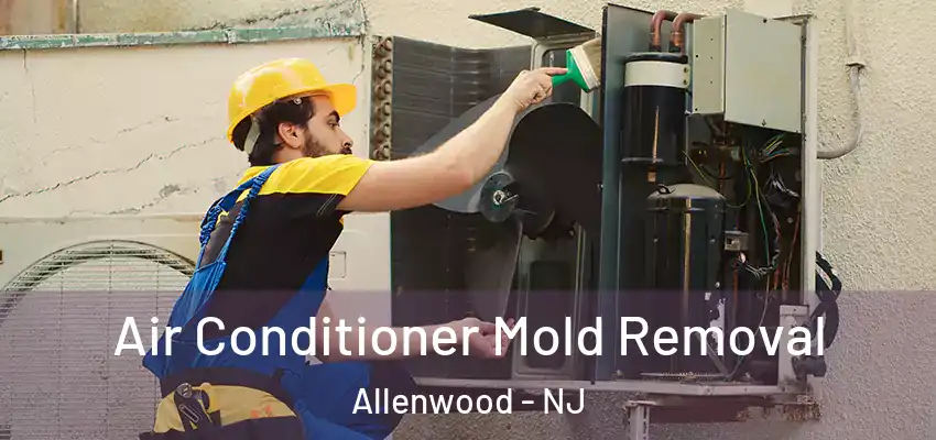 Air Conditioner Mold Removal Allenwood - NJ