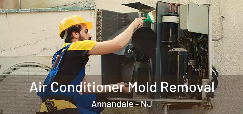 Air Conditioner Mold Removal Annandale - NJ