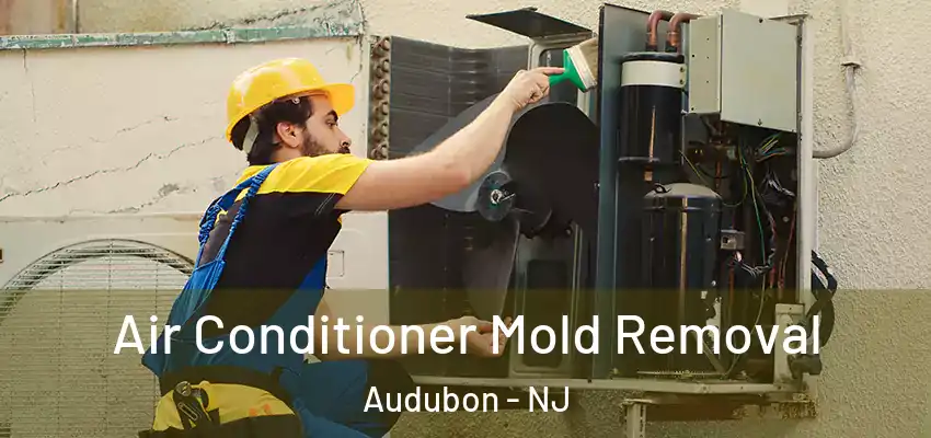  Air Conditioner Mold Removal Audubon - NJ