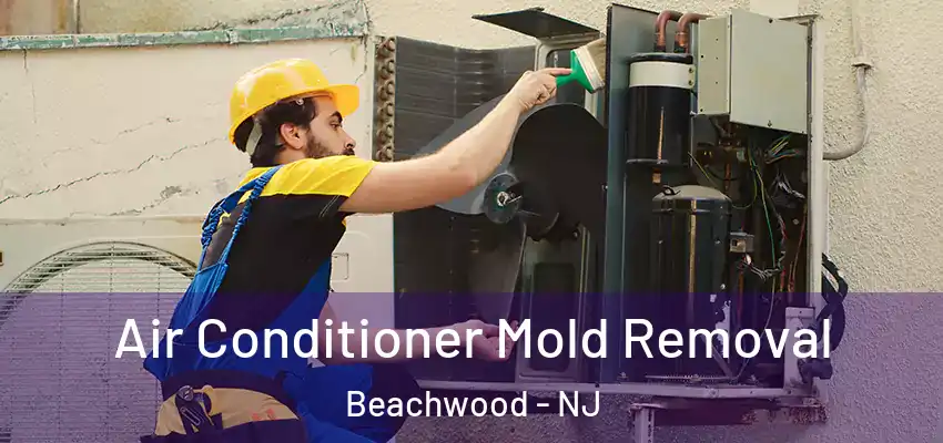 Air Conditioner Mold Removal Beachwood - NJ