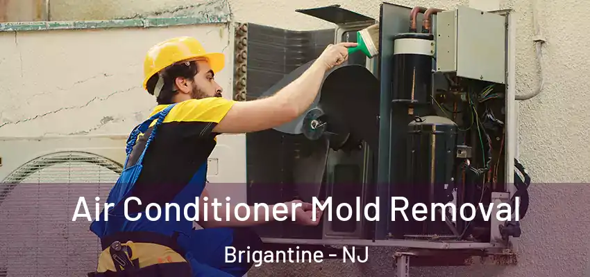  Air Conditioner Mold Removal Brigantine - NJ