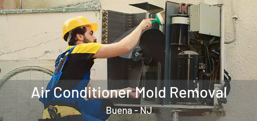  Air Conditioner Mold Removal Buena - NJ