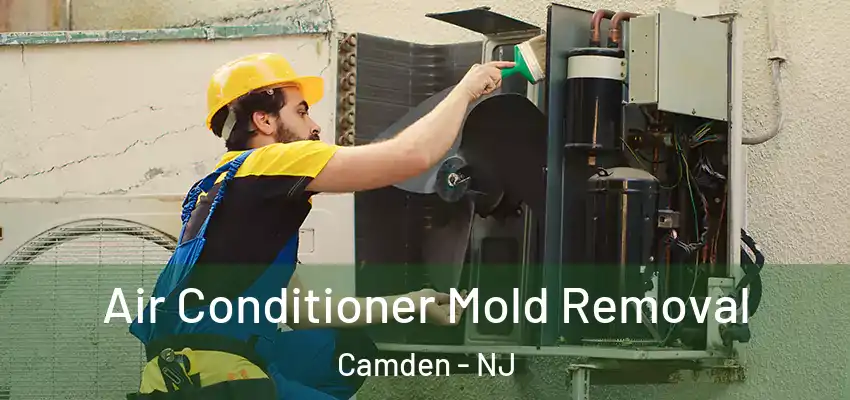  Air Conditioner Mold Removal Camden - NJ