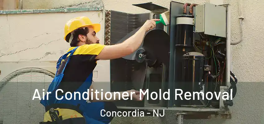 Air Conditioner Mold Removal Concordia - NJ