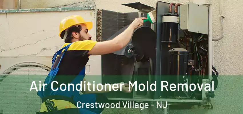 Air Conditioner Mold Removal Crestwood Village - NJ