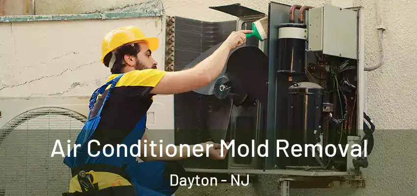  Air Conditioner Mold Removal Dayton - NJ