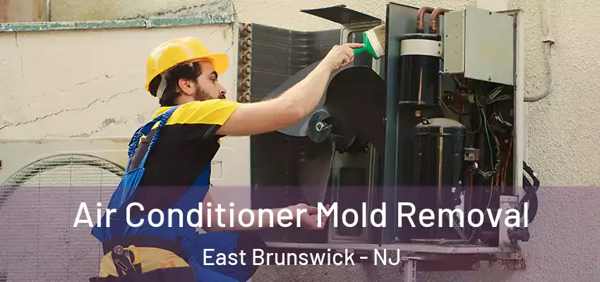 Air Conditioner Mold Removal East Brunswick - NJ