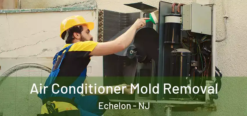 Air Conditioner Mold Removal Echelon - NJ