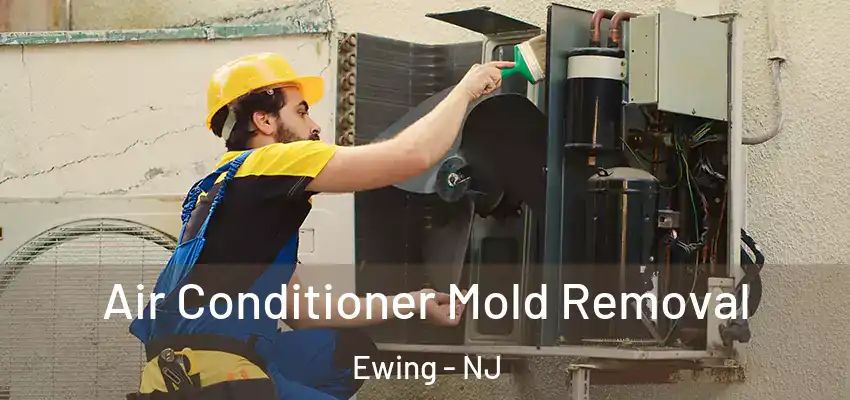 Air Conditioner Mold Removal Ewing - NJ