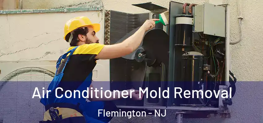 Air Conditioner Mold Removal Flemington - NJ