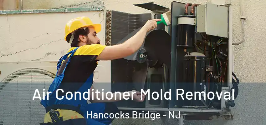 Air Conditioner Mold Removal Hancocks Bridge - NJ