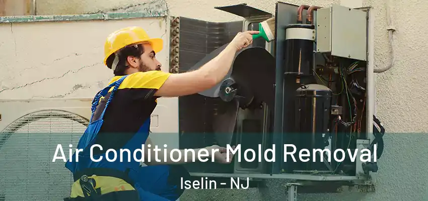  Air Conditioner Mold Removal Iselin - NJ