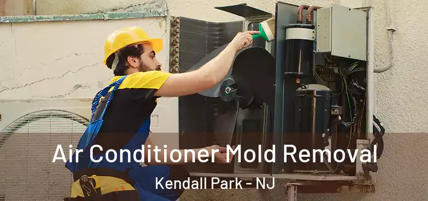 Air Conditioner Mold Removal Kendall Park - NJ