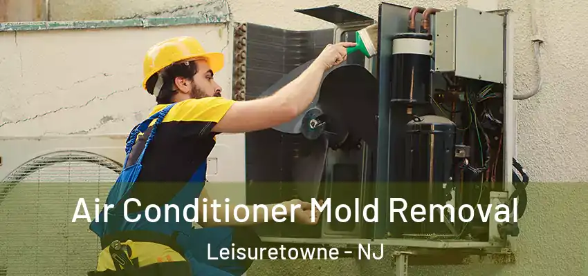 Air Conditioner Mold Removal Leisuretowne - NJ