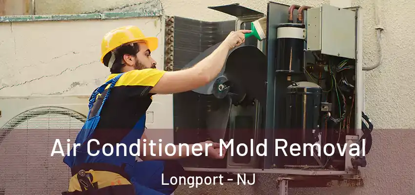  Air Conditioner Mold Removal Longport - NJ