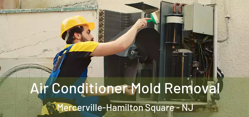  Air Conditioner Mold Removal Mercerville-Hamilton Square - NJ