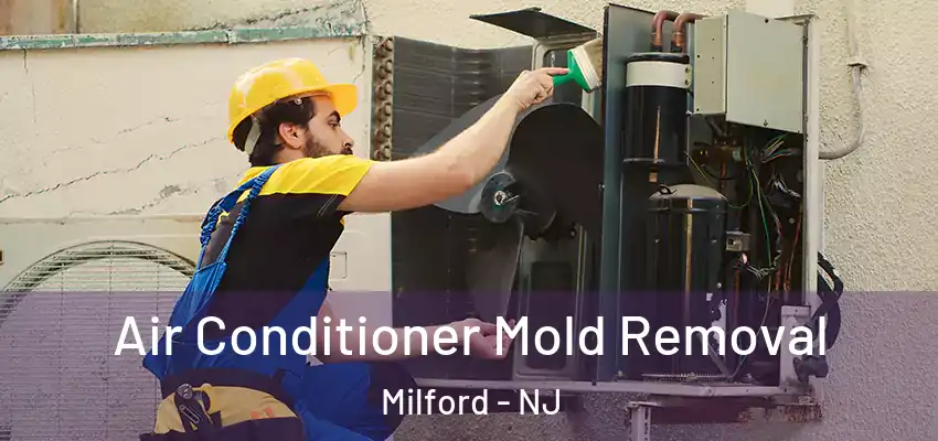 Air Conditioner Mold Removal Milford - NJ