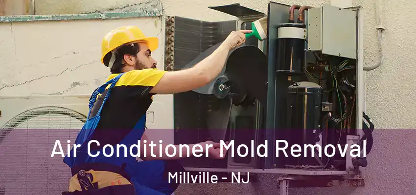  Air Conditioner Mold Removal Millville - NJ