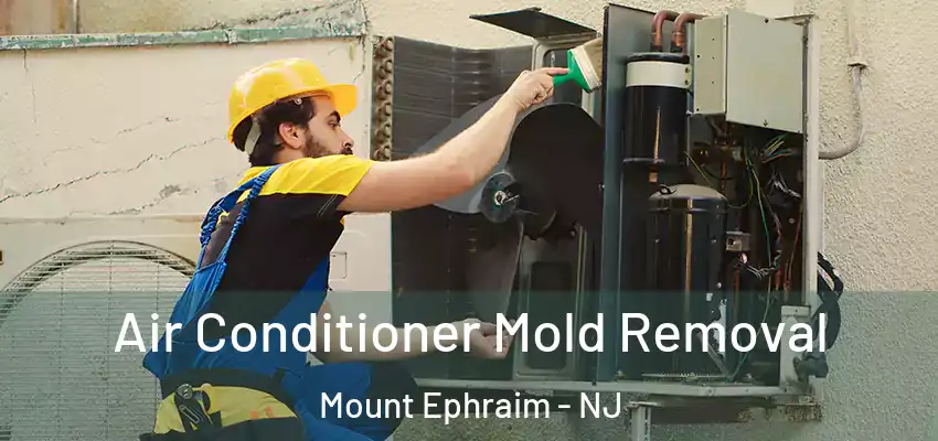  Air Conditioner Mold Removal Mount Ephraim - NJ