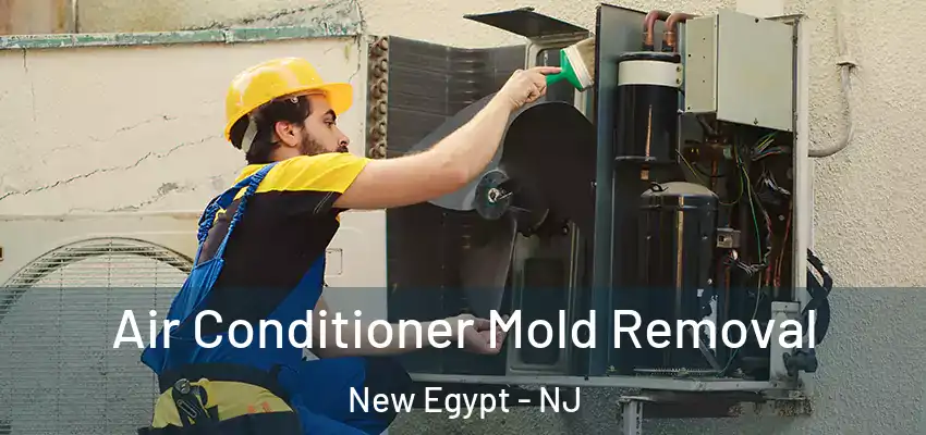 Air Conditioner Mold Removal New Egypt - NJ