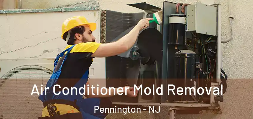  Air Conditioner Mold Removal Pennington - NJ
