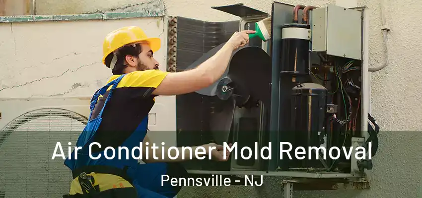 Air Conditioner Mold Removal Pennsville - NJ