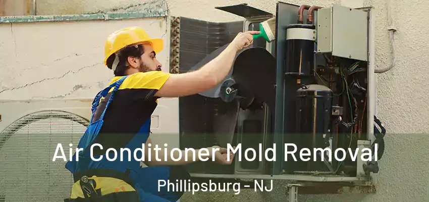  Air Conditioner Mold Removal Phillipsburg - NJ