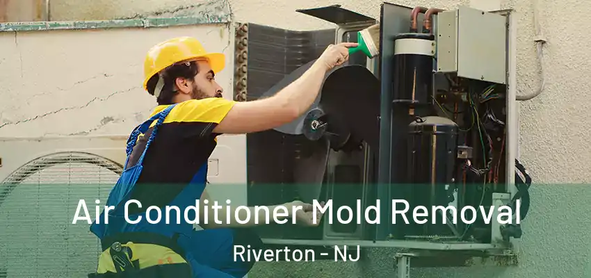  Air Conditioner Mold Removal Riverton - NJ