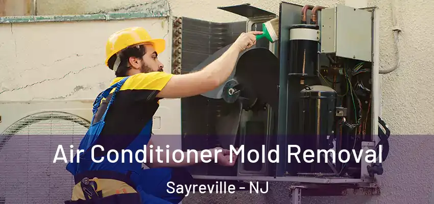 Air Conditioner Mold Removal Sayreville - NJ