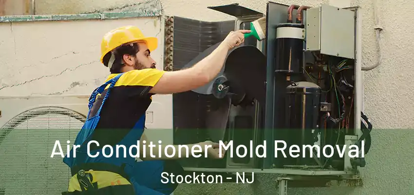  Air Conditioner Mold Removal Stockton - NJ