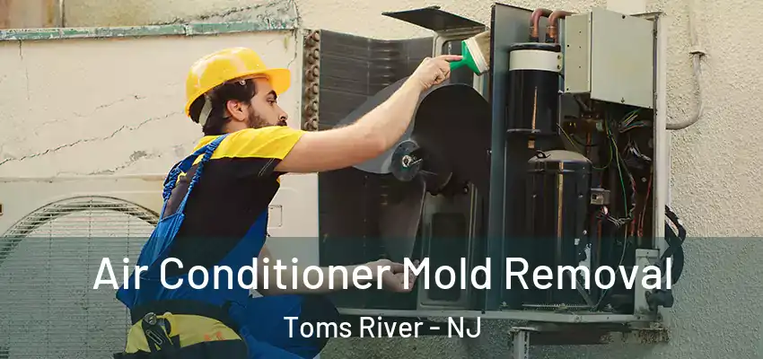  Air Conditioner Mold Removal Toms River - NJ