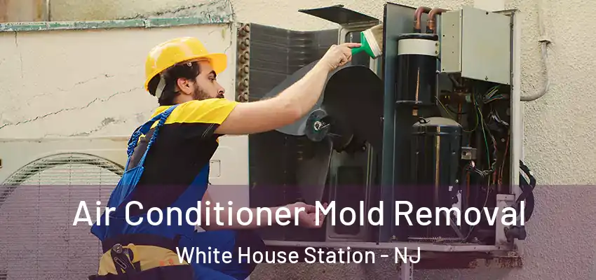 Air Conditioner Mold Removal White House Station - NJ