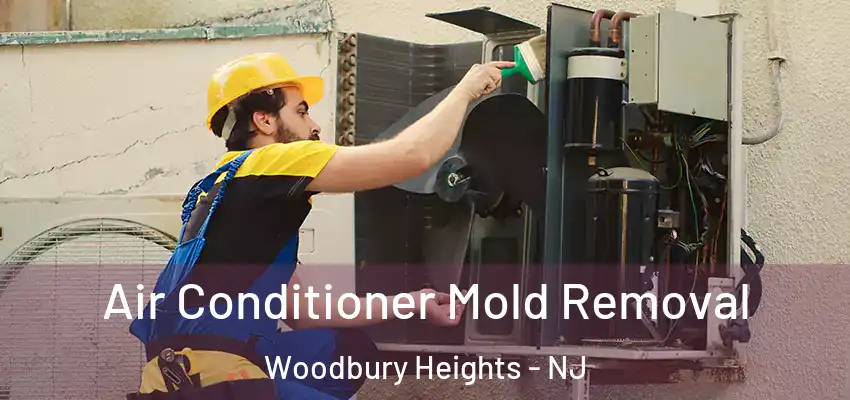 Air Conditioner Mold Removal Woodbury Heights - NJ