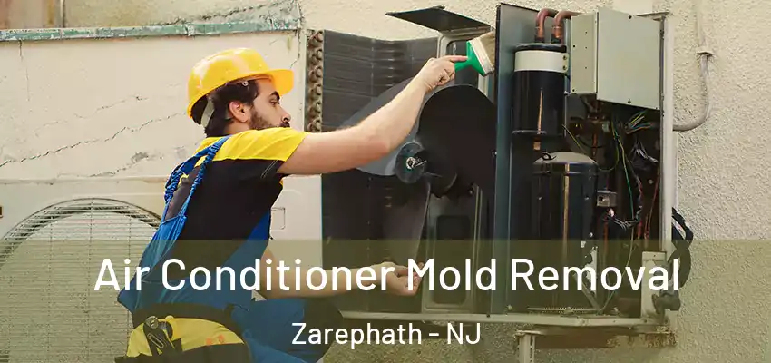 Air Conditioner Mold Removal Zarephath - NJ