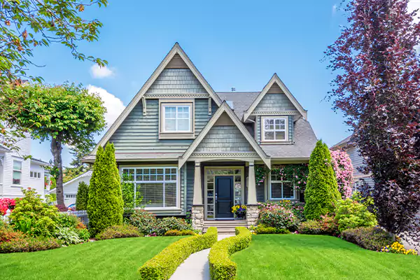 Black Mold Clean Up in Camden, NJ