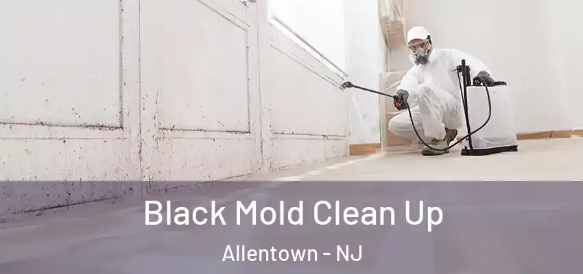 Black Mold Clean Up Allentown - NJ
