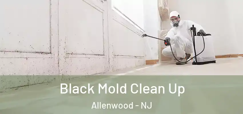 Black Mold Clean Up Allenwood - NJ