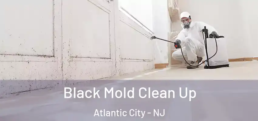  Black Mold Clean Up Atlantic City - NJ