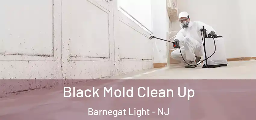 Black Mold Clean Up Barnegat Light - NJ
