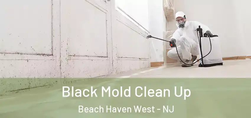  Black Mold Clean Up Beach Haven West - NJ