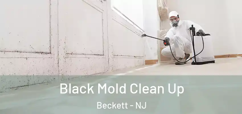  Black Mold Clean Up Beckett - NJ
