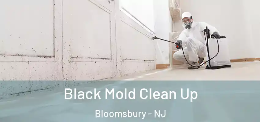 Black Mold Clean Up Bloomsbury - NJ