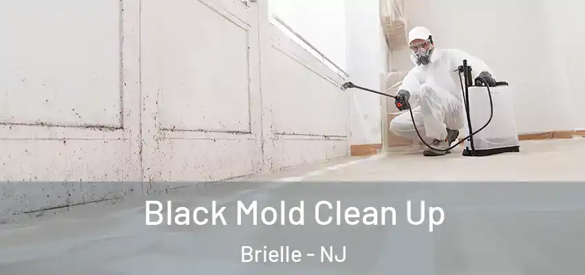 Black Mold Clean Up Brielle - NJ