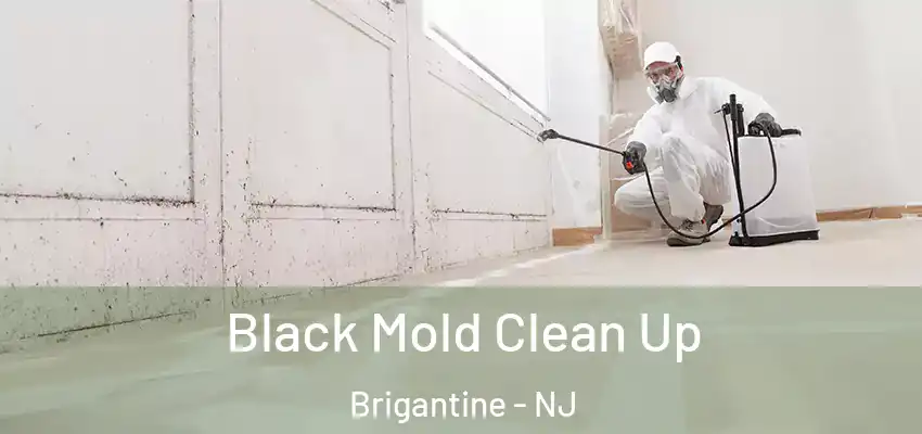 Black Mold Clean Up Brigantine - NJ