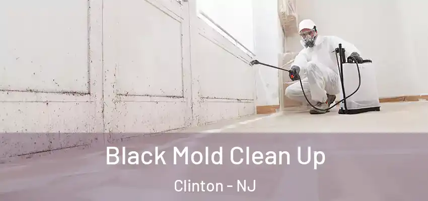  Black Mold Clean Up Clinton - NJ