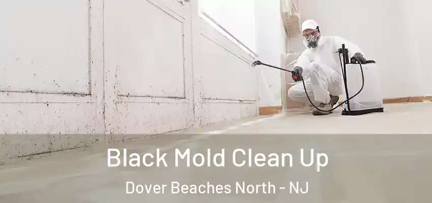  Black Mold Clean Up Dover Beaches North - NJ