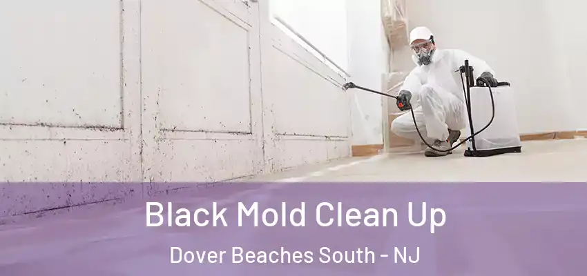 Black Mold Clean Up Dover Beaches South - NJ
