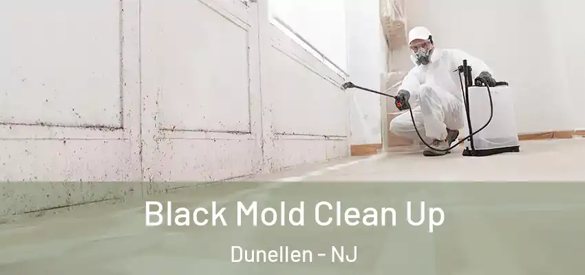 Black Mold Clean Up Dunellen - NJ