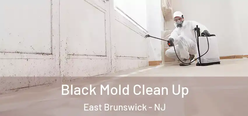 Black Mold Clean Up East Brunswick - NJ