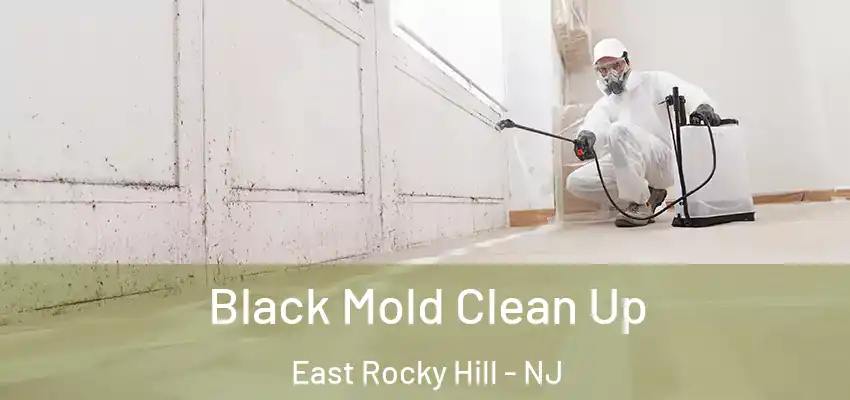 Black Mold Clean Up East Rocky Hill - NJ
